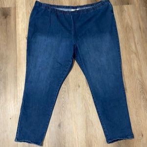 Plus Size Fineline Denim Jeggings Size 28W